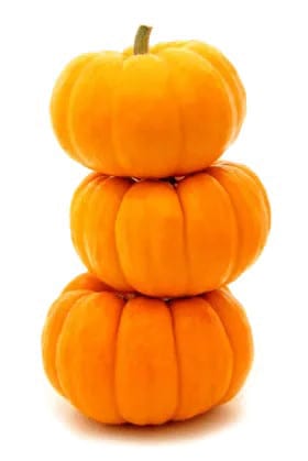 Types Of Pumpkins