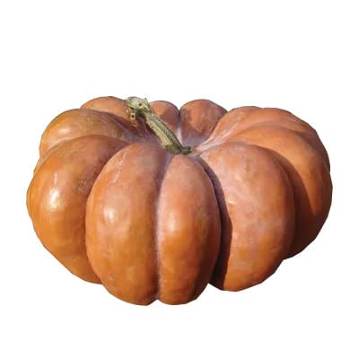 Types Of Pumpkins